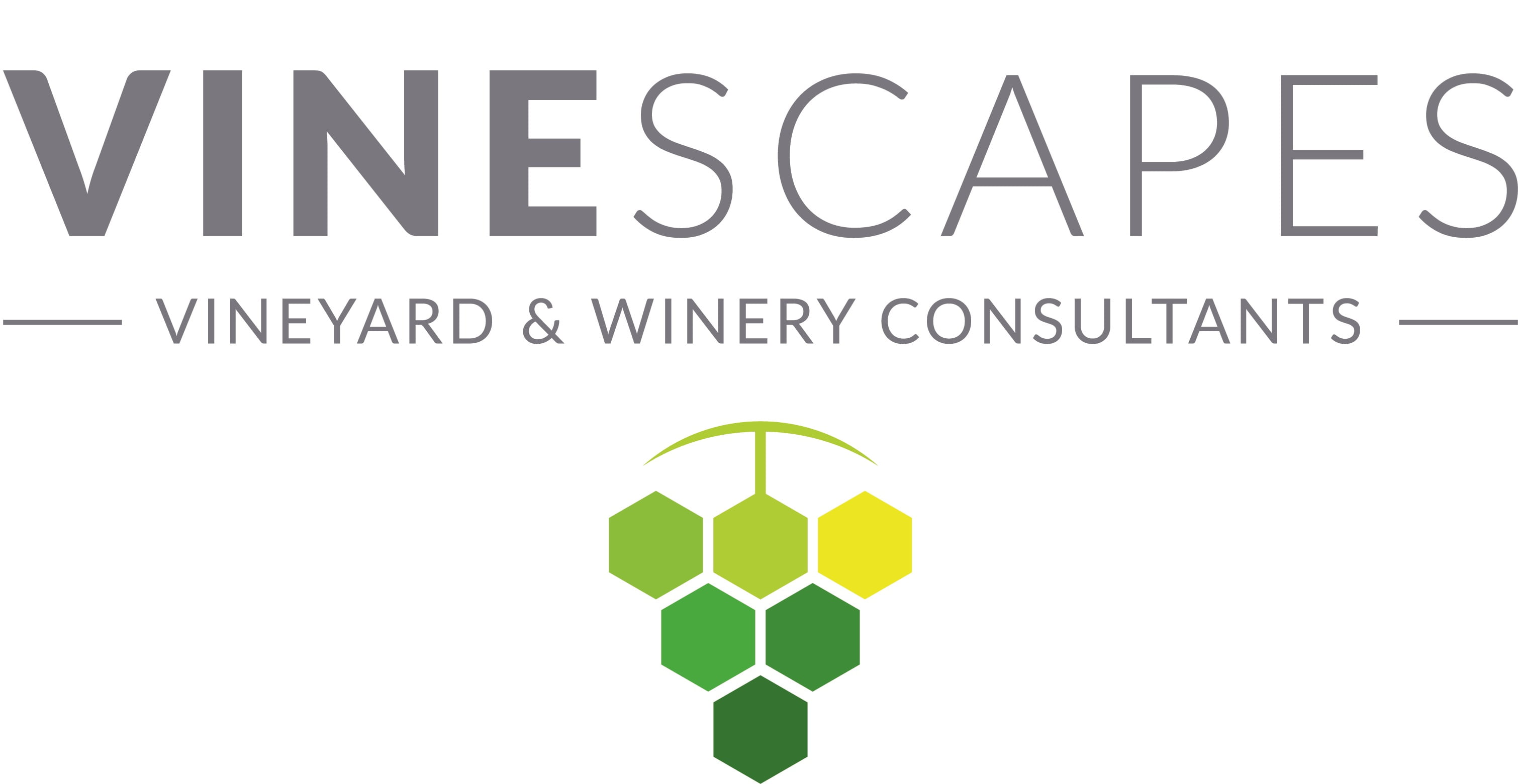 Vineyard and winery consultants