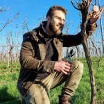 Winter pruning vine