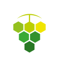 vinescapes-logo-2022-clear-white