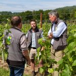 Viticulture consultancy