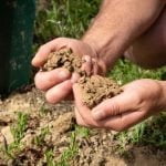 Soil health vineyard soil