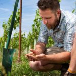 Joel Jorgensen Vinescapes assessing soil health