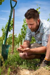 Joel Jorgensen Vinescapes assessing soil health