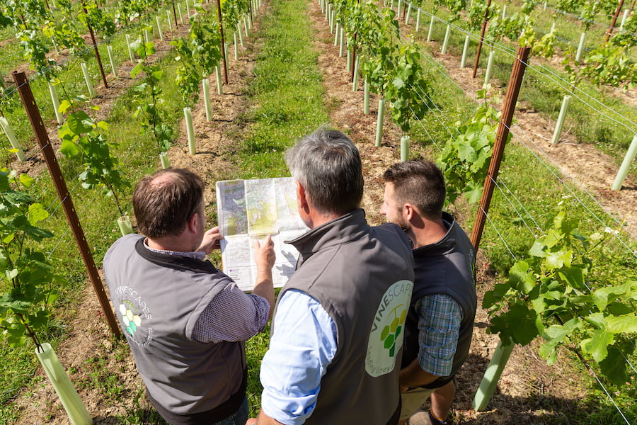 Vineyard map assessment
