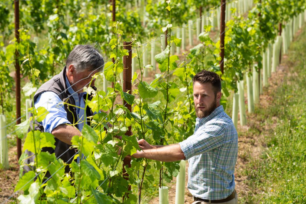 Vineyard technical support