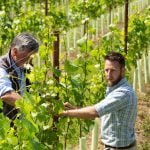 Vineyard technical support
