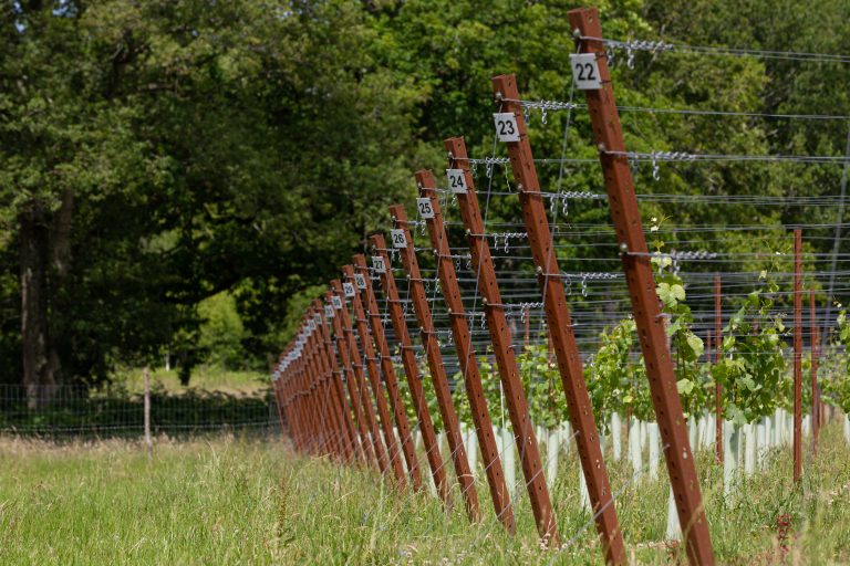 CorTen trellis posts