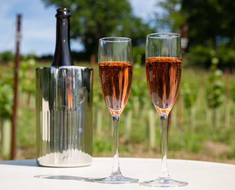 Sparkling wine in vineyard
