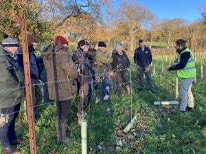 pruning workshops
