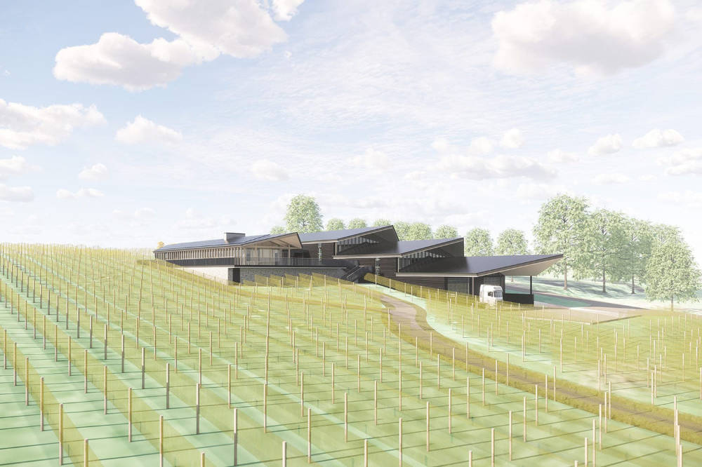 Winery Design - Vinescapes