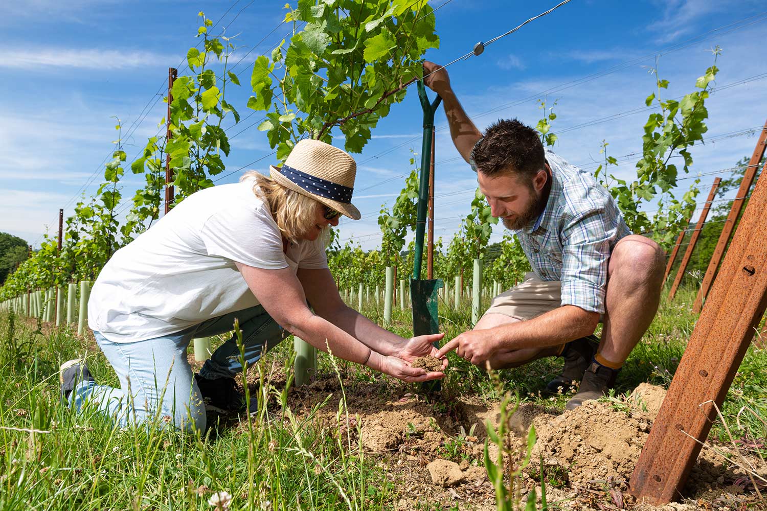 Understanding-vineyard-soil.jpg