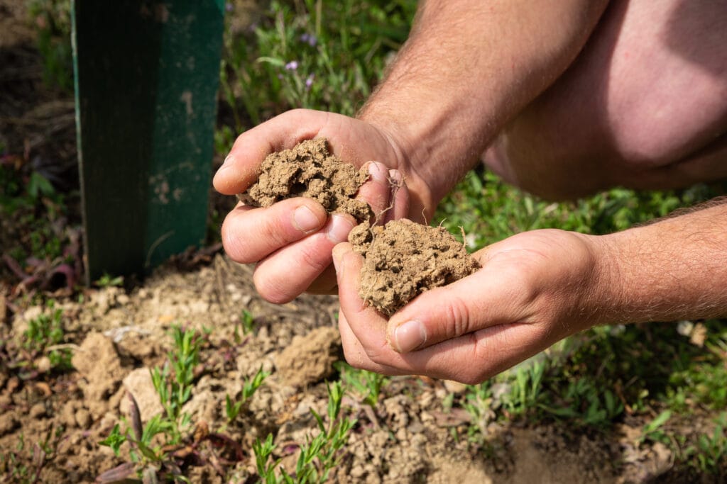 healthy soils