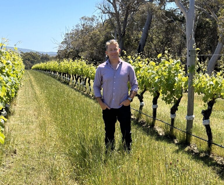 Regenerative Viticulture