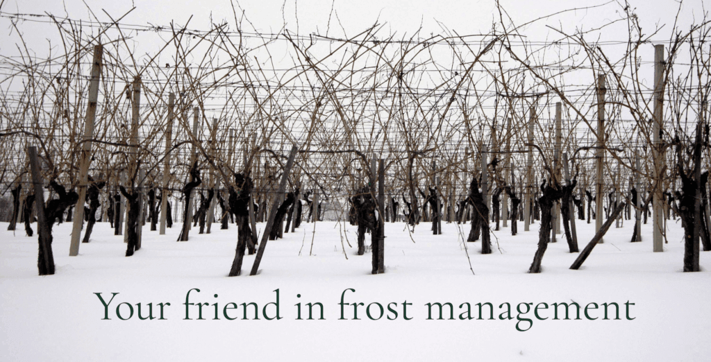 frost forecasting vinebuddy