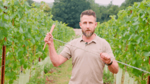 regenerative viticulture videos