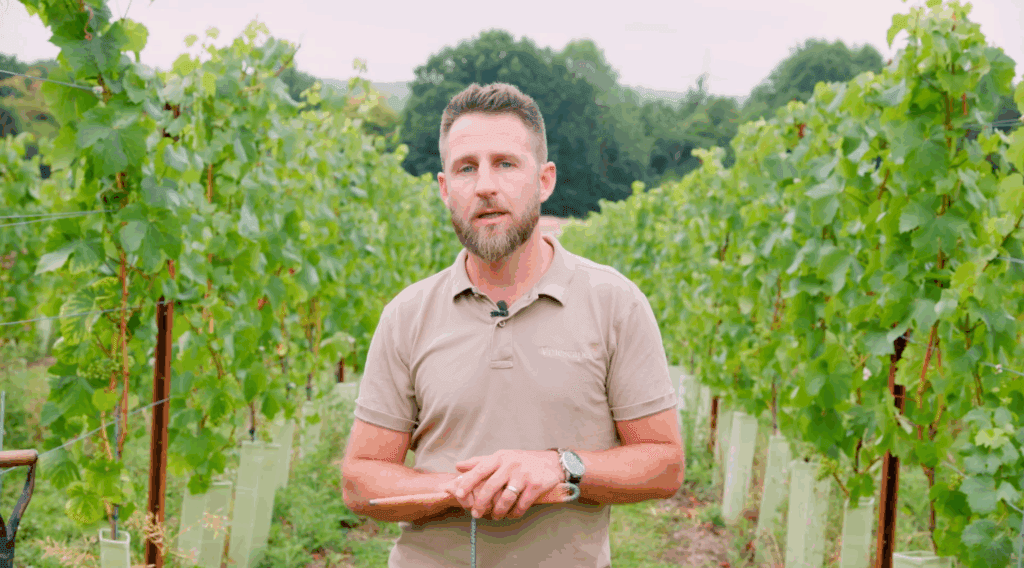 regenerative viticulture videos